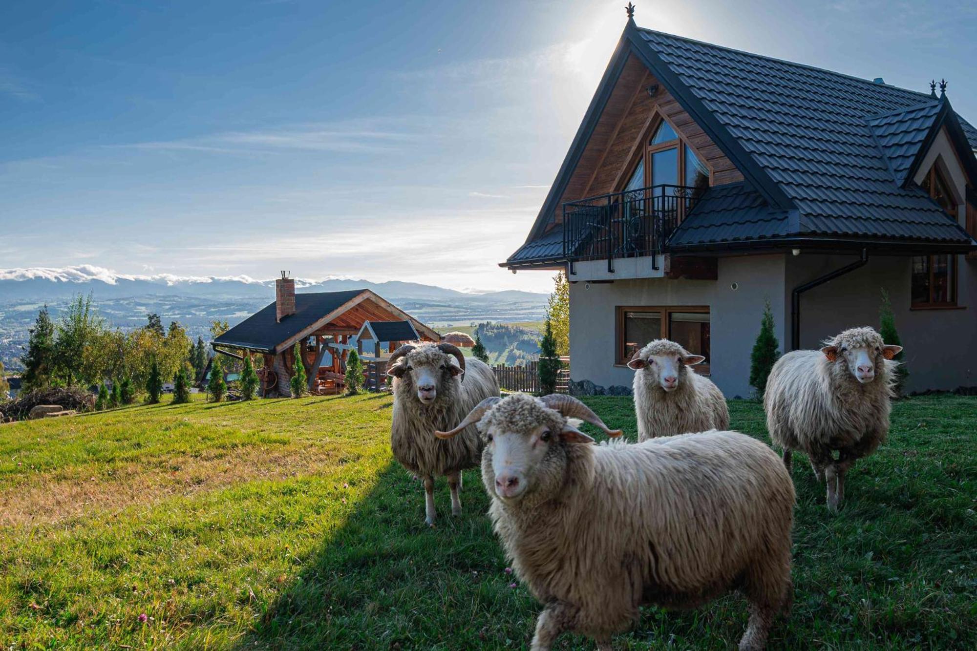 Lesne Zacisze Villa Nowy Targ Luaran gambar